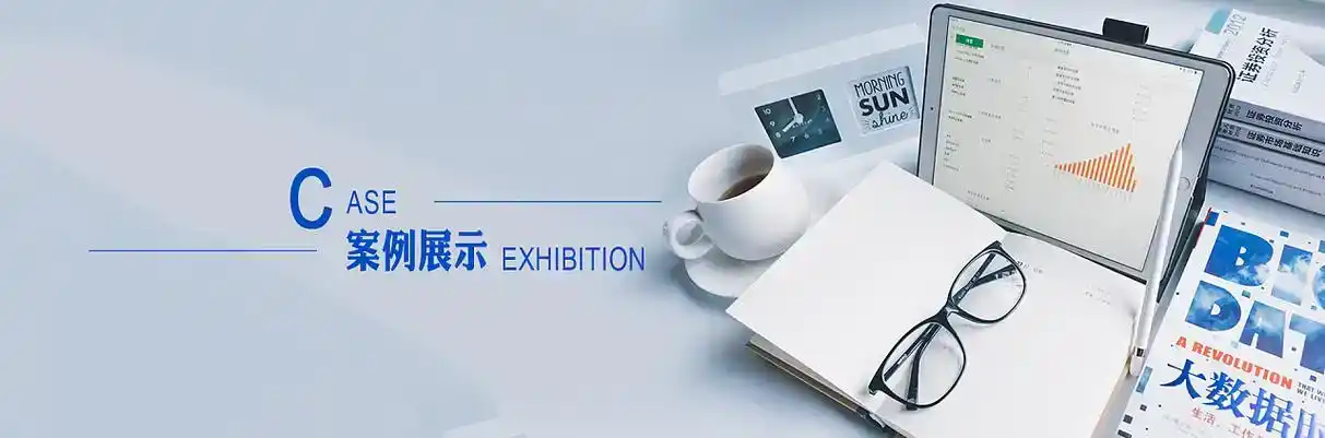 天山区软件开发
